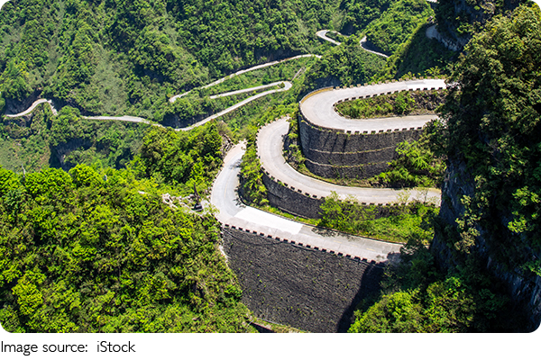 Florestas salvam o planeta