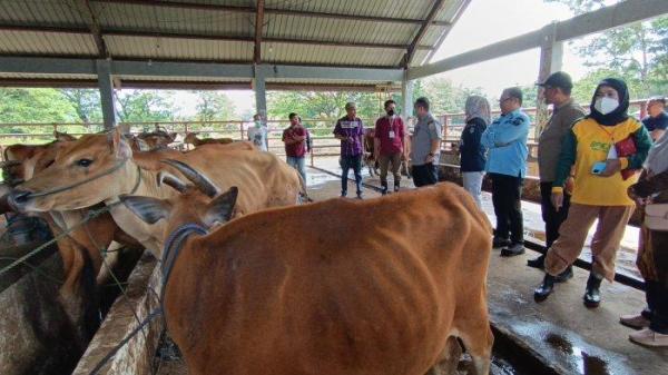 Distanak Sultra, Satgas Pangan Dinas Pertanian Kendari dan Polda Sultra ke RPH Ruminansia