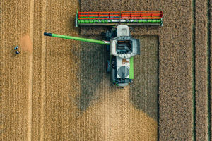 Cultivating Tomorrow