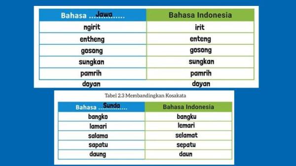 Tabel 2.3 Membandingkan Kosa Kata - Kunci Jawaban Bahasa Indonesia Kelas 9 Halaman 38 Kurikulum Merdeka Kegiatan 3