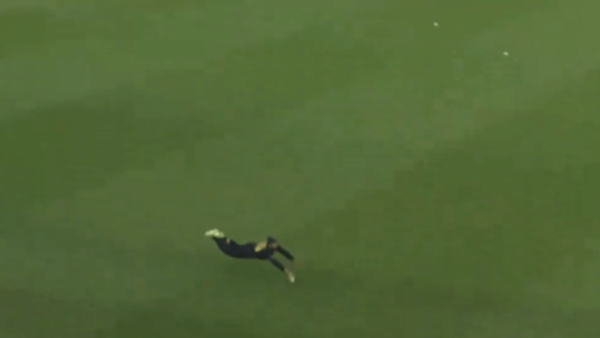 VIDEO: Australian player took an amazing catch, jumped like a cheetah and caught the ball