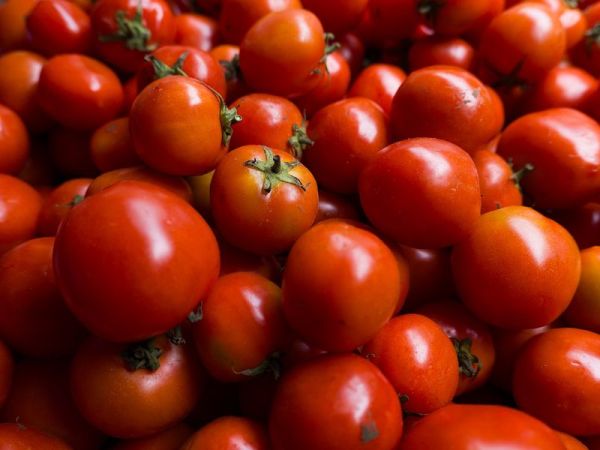 Review kamera Leica D-Lux 8