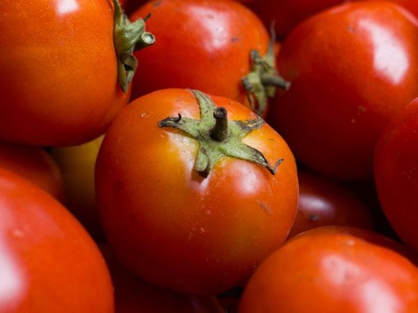 Review kamera Leica D-Lux 8