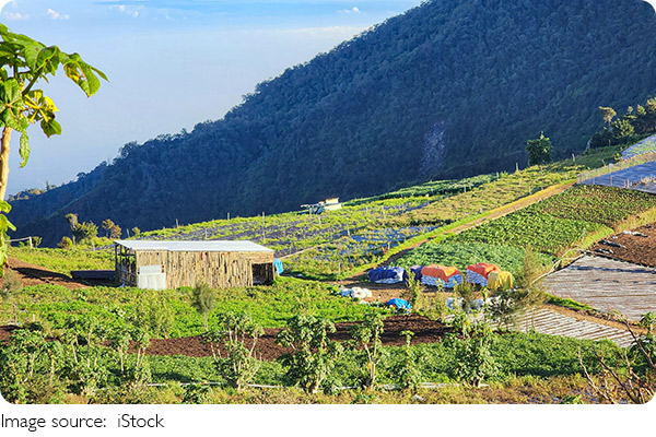 Explore Dieng, Indonesia