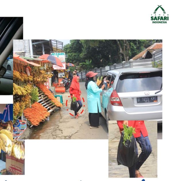 Pedagang wortel di Taman Safari