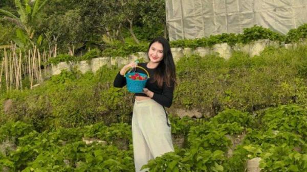 Puncak Pass Farm tempat wisata Bogor, suguhkan pengunjung dengan pemandangan pegunungan yang mempesona sambil memetik strawberry langsung dari pohonnya