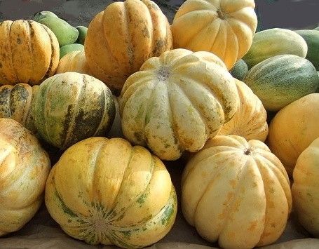 buah blewah