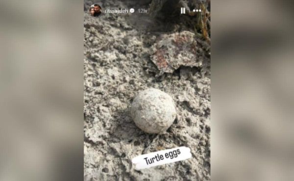 Latest and Breaking News on News Latest and Breaking News on News