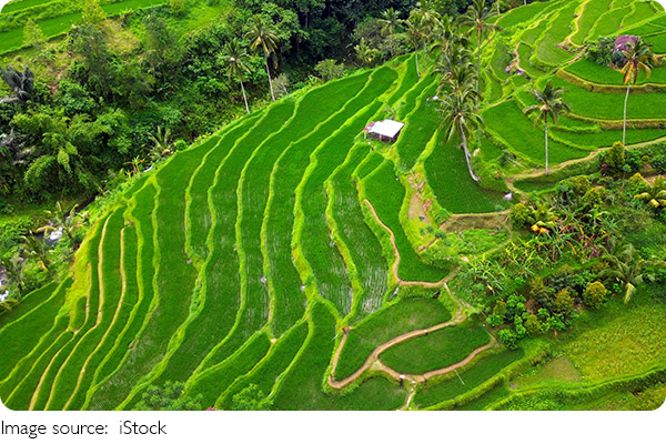 Agro em virada