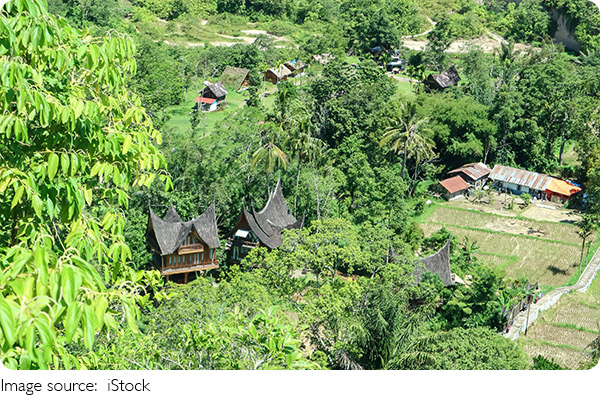 Sống khỏe cùng thiên nhiên