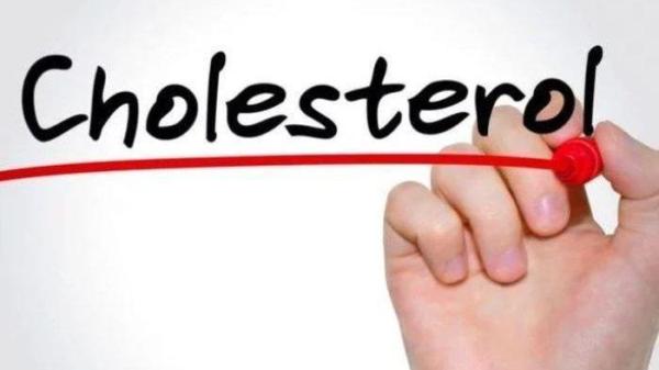 Ilustrasi Kolesterol