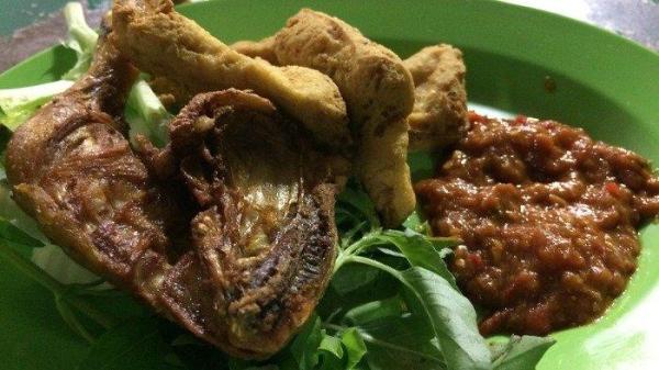 Ilustrasi pecel lele untuk makan malam enak.