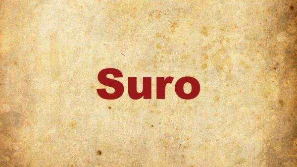 Bulan Suro