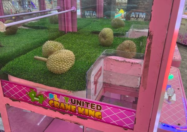 Keren! Pria Ini Berhasil Dapat 9 Durian dari Main Mesin Capit