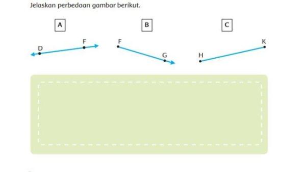 hgdfcbgjhg