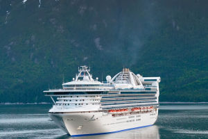 The Essentials Of Cruise