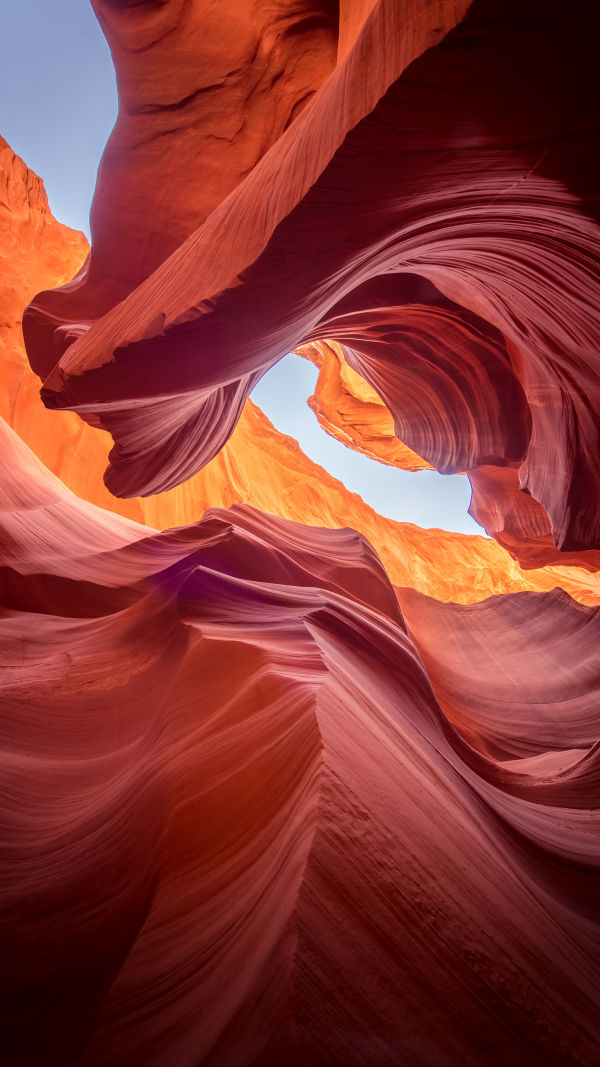 Nature's Wacky Funhouse