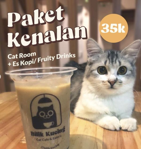 Di 5 Kafe Ini Bisa Makan Enak Sekaligus Main Bareng Kucing