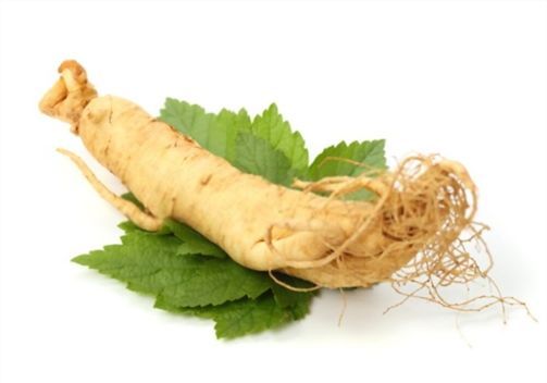 ginseng