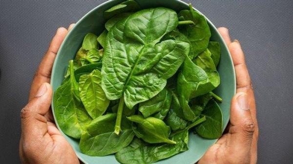 Sayur Bayam merupakan makanan yang kaya akan nutrisi