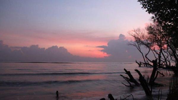 Pantai Muara Gembong merupakan tempat wisata di Bekasi yang memang tak sepopuler pantai-pantai lain di Jawa Barat, namun tak kalah mempesona.