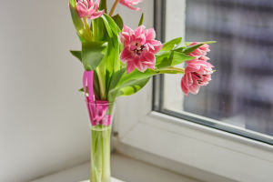 Blooms That Last