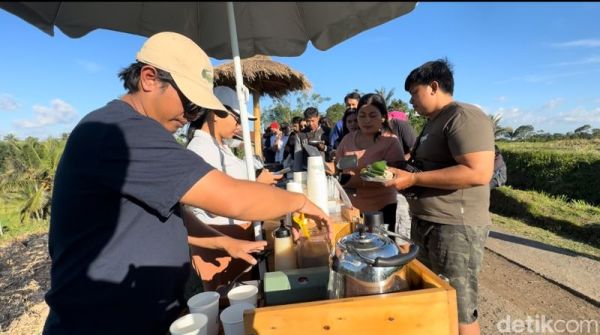 Nyarik Kopi di Jalan Subak Bangkyang Sidem, Desa Babahan, Kecamatan Penebel, Kabupaten Tabanan, Bali, Minggu (14/7/2024. (I Nyoman Adhisthaya Sawitra/detikBali)