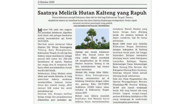 Saatnya Melirik Hutan Kalteng yang Rapuh
