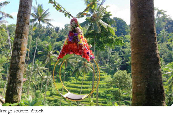 Wisata Sawah Indah