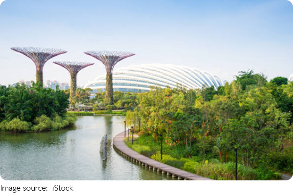 Jardins em Destaque