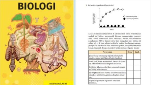 Soal Biologi Untuk Kelas 11 SMA kurikulum Merdeka