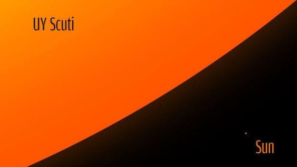 UY Scuti