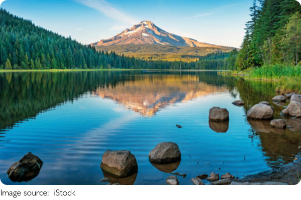 Encanto De Enterprise