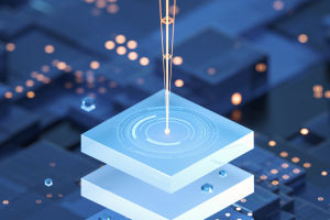 Chips: Our Hidden Heroes