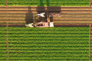 Harvesting the Future