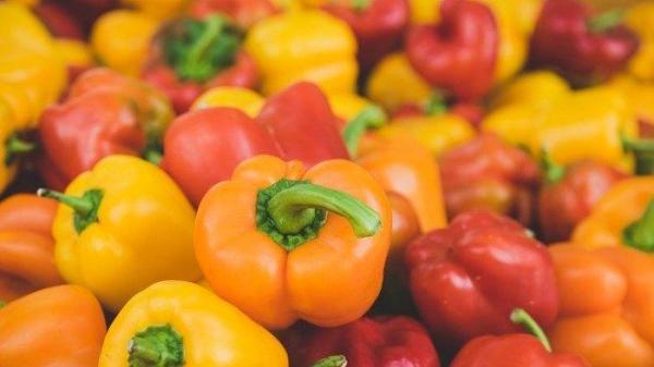 Foto ilustrasi paprika merah hingga kuning