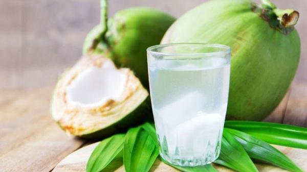 Minum air kelapa muda sangat menyegarkan dan banyak manfaatnya