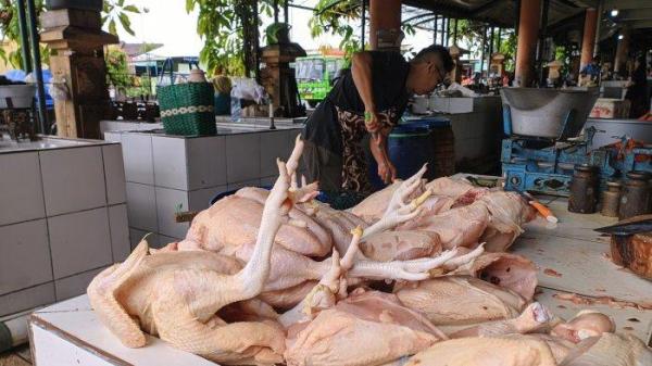 Lapak penjualan daging ayam di Pasar Argosari Wonosari, Gunungkidul, Selasa (25/07/2023). Harga telur dan daging ayam berangsur turun setelah sempat naik di bulan lalu.