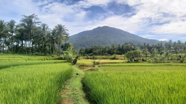 Gunung Pulosari