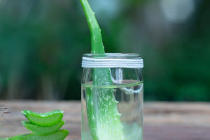 Aloe vera Uses and Benefits