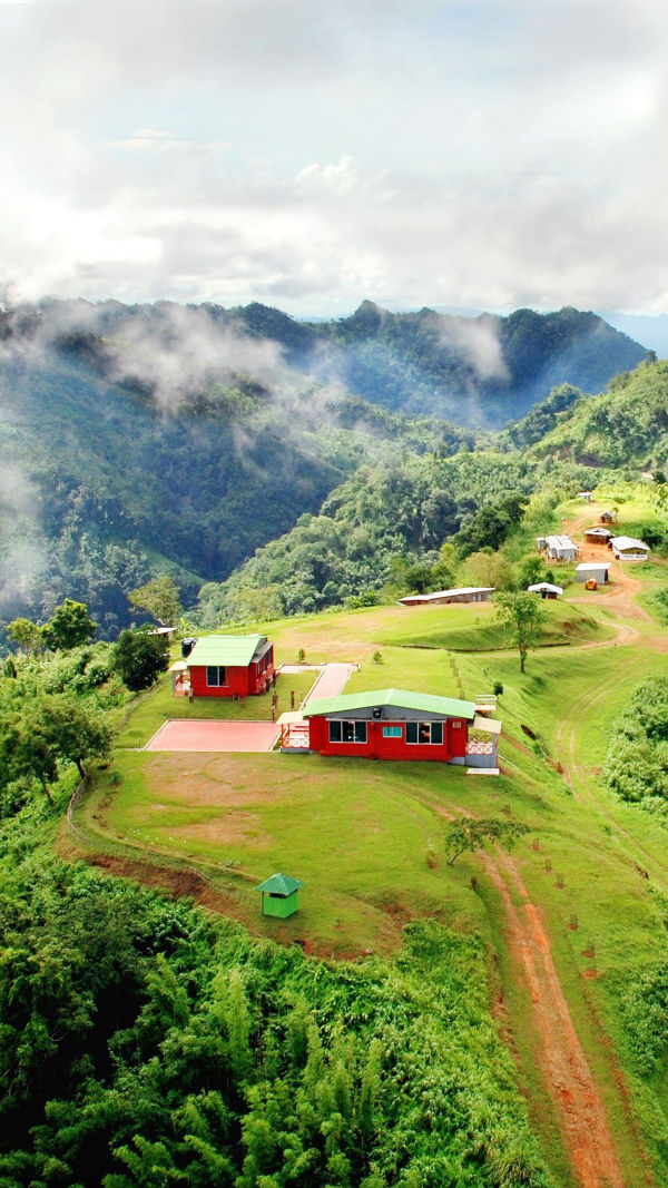 Nilgiri: An Ultimate Guide