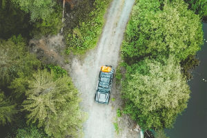 Self-Drive Nature Tour
