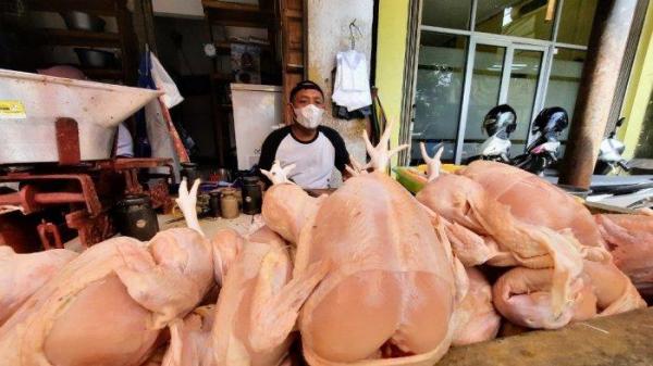 Daging ayam yang dijual pedagang di Pasar Argosari Wonosari, Gunungkidul pada Selasa (01/03/2022). Naiknya harga daging sapi disebut belum berpengaruh pada permintaan daging ayam.