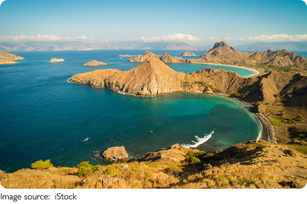 Fuja das armadilhas!