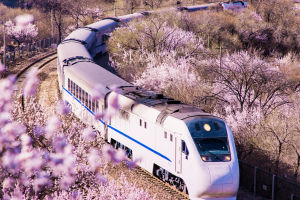 Remarkable Train Milestones
