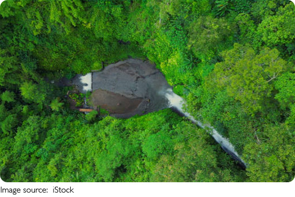 Gelecek İçin Ağaçlar