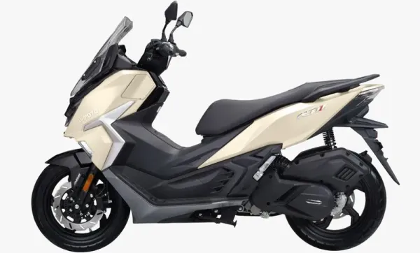 WMoto RT1 2024