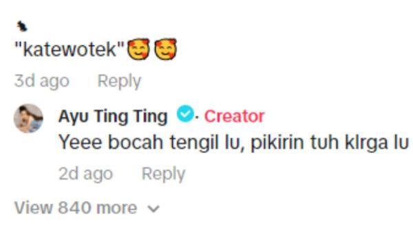 Balasan Ayu Ting Ting saat Bilqis dicibir netizen gara-gara nyanyi lagu Korea (3)
