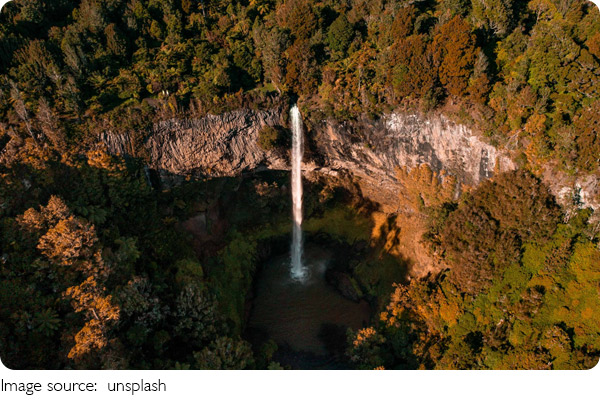 Hamilton Pool: Nature Awaits