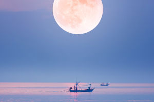 Mysteries of Moonrise